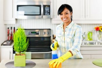 House Cleaning by 313 Cleaning Services