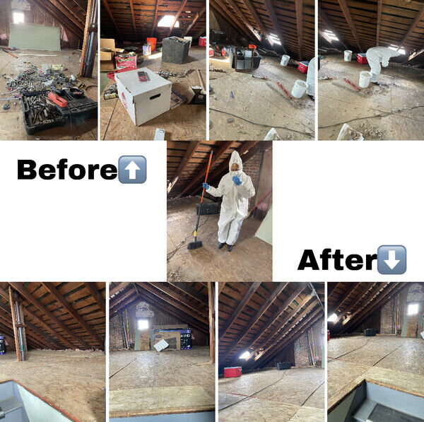 Before & After Residential Attic Cleaning in Detroit MI (1)